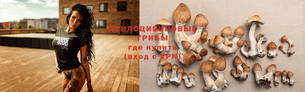 прущие крисы Коряжма
