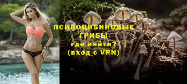 ECSTASY Корсаков