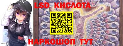 спайс Берёзовский