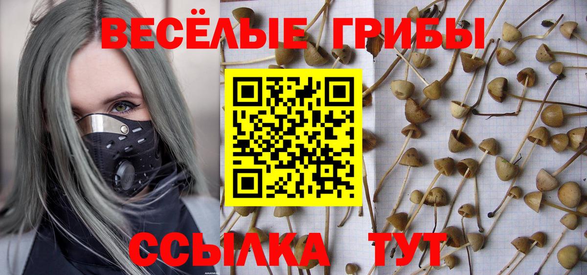Псилоцибиновые грибы ЛСД Лыткарино