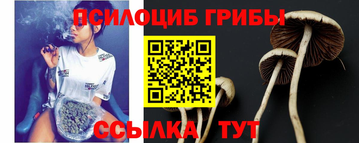 Конопля  Вход с VPN  Мефедрон кристаллы  APVP СОЛЬ кристаллы  Лыткарино  Гашиш 